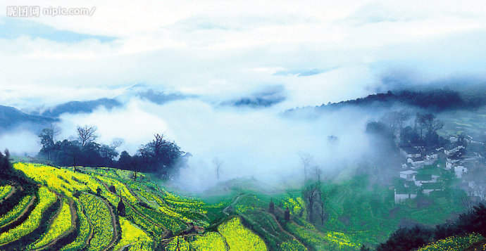 婺源风景区12景点通票